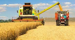 Türkiye, tarım ve buğday ürünleri ihracatında dünyada birinci sırada