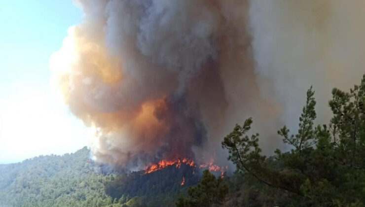 Orman Genel Müdürlüğünden Marmaris Yangını Açıklaması