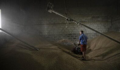 Savaşın sürdüğü Ukrayna’da çiftçiler buğday satmakta zorlanıyor