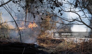 Fransa’nın güneyindeki yangın 700 hektar alanı kül etti