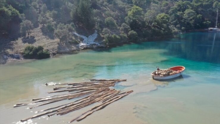 <strong>Muğla’da karadan ulaşımın olmadığı noktalarda kesilen ağaçlar tekneyle taşındı</strong>