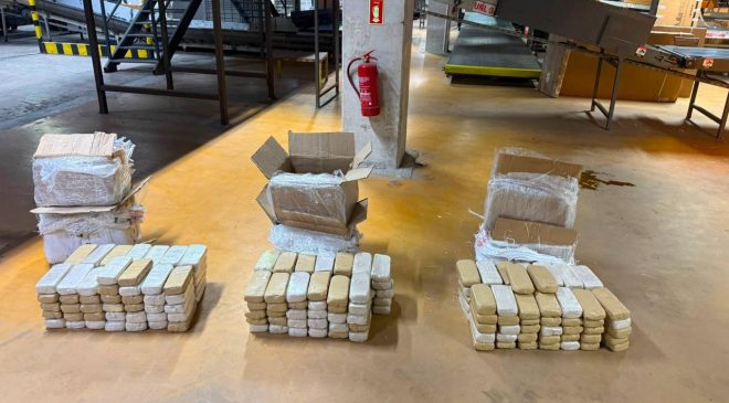 Ankara’da kargo paketlerinde 109 kilogram uyuşturucu ele geçirildi